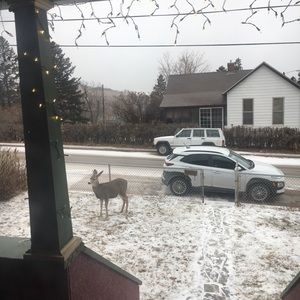 Meet your Posher, Abigail